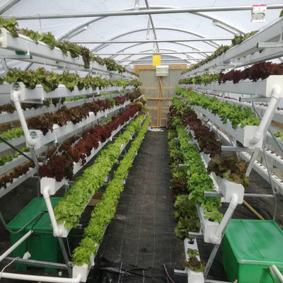 CO2 Control NFT Hydroponic Equipment Hydroponic Garden Tower OEM ODM