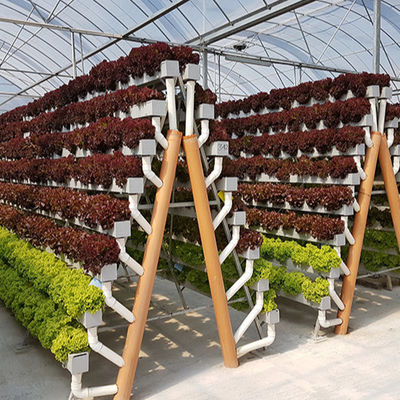pH Control Vertical Hydroponic System NFT Gully Channel 4x8 Flood Tray