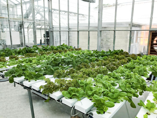 Full Hydroponic System Hydroponic Growing Tower Zip Channel HID Lighting
