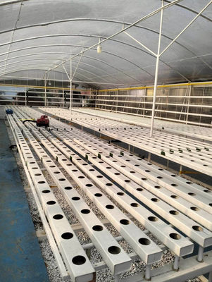 Hydroponic Grow System Garden Including LED Fluorescent And HID Lighting