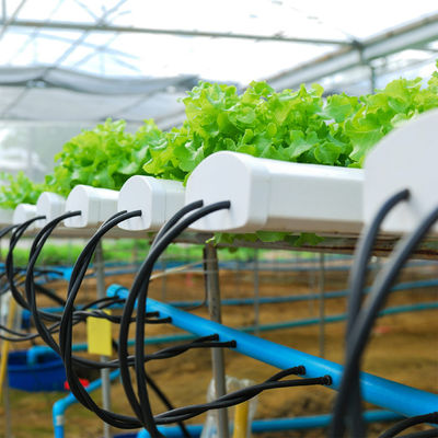 Full Hydroponic System Hydroponic Growing Tower Zip Channel HID Lighting
