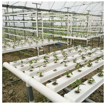 Full Hydroponic System Hydroponic Growing Tower Zip Channel HID Lighting