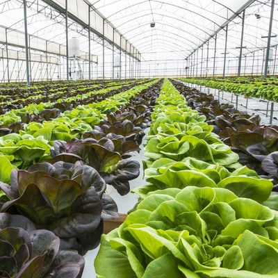 Intelligent Vertical Hydroponic System Aeroponic Tower Zip Channel