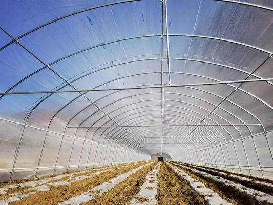 Single Span Tunnel Plastic Film Agricultural Greenhouse High Disaster Resistance