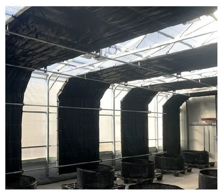 Mushroom Light Deprivation Greenhouse With Hot Dip Galvanized Steel Pipe