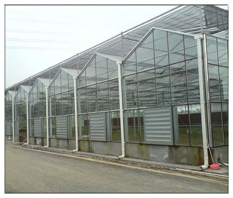 Hydroponics System Multi Span Glass Greenhouse Aeroponic Tower Garden