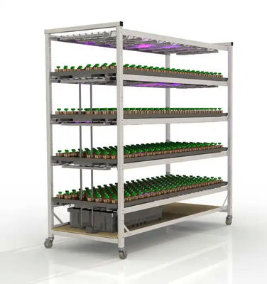 Hot Galvanized Steel Frame Vertical Grow Rack Hydroponic Grow Shelves 8/16/24/32ft