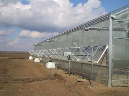 Polycarbonate Multi Span Plastic Film Greenhouse Plastic Tomato Greenhouse OEM
