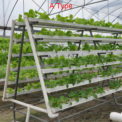Intelligent Hydroponic Passive Solar Greenhouse Kits Greenhouse Bench System